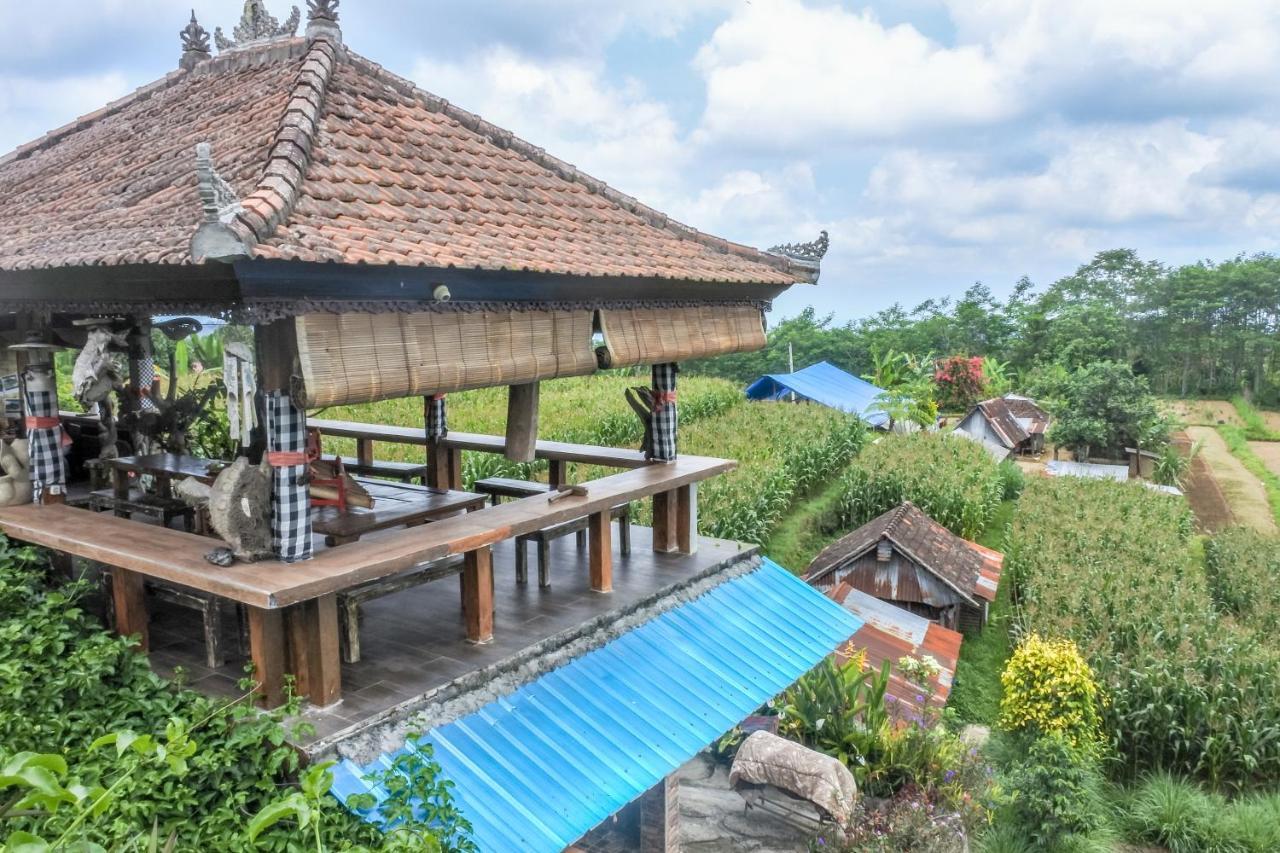 Pondok Nyoman Bedugul By Agata Ngoại thất bức ảnh